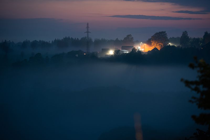 туман деревья сумерки закат город Туман после дождя фото превью