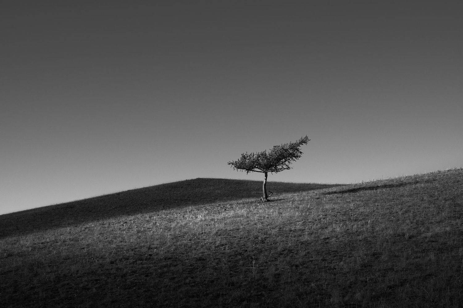 , Евгений Иванов