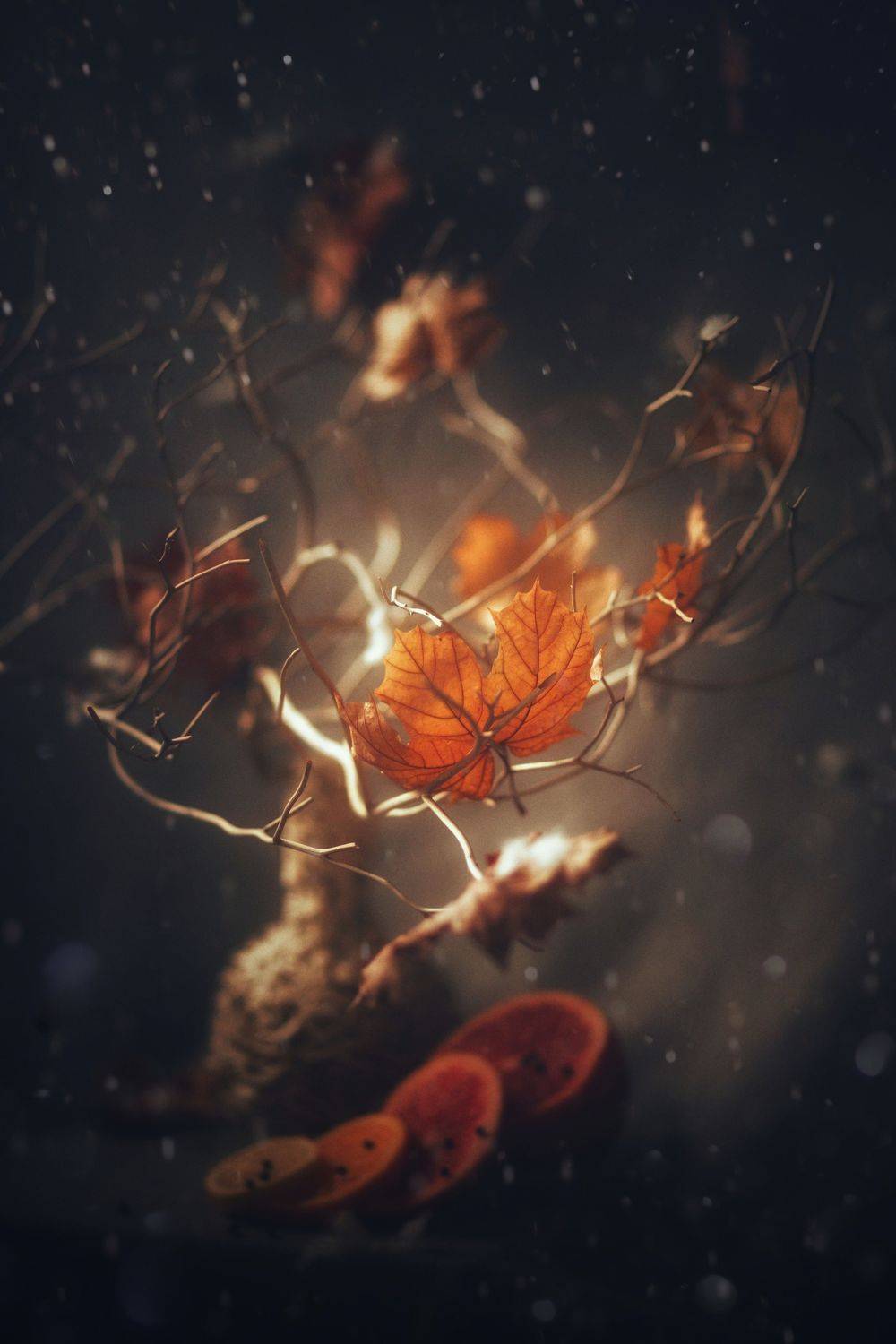 , Татьяна Максакова