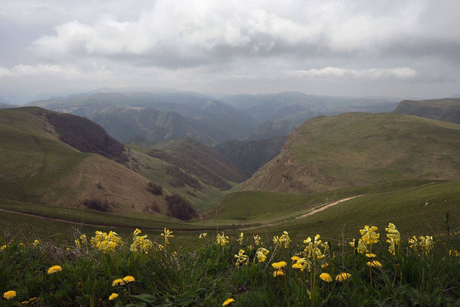 аурсентх, кабардино-балкария, Хасан Журтов