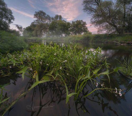 Вечер у реки...