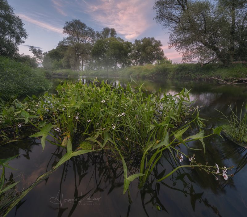 вечер,закат,река,угра,пейзаж Вечер у реки... фото превью