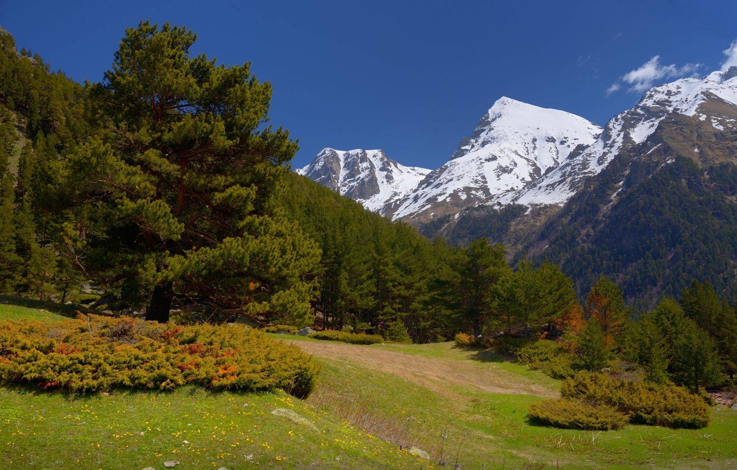 горы весна кавказ, Александр Жарников
