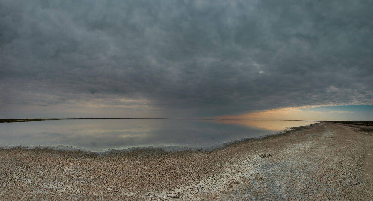 volgograd, russia, wildlife, , Сторчилов Павел