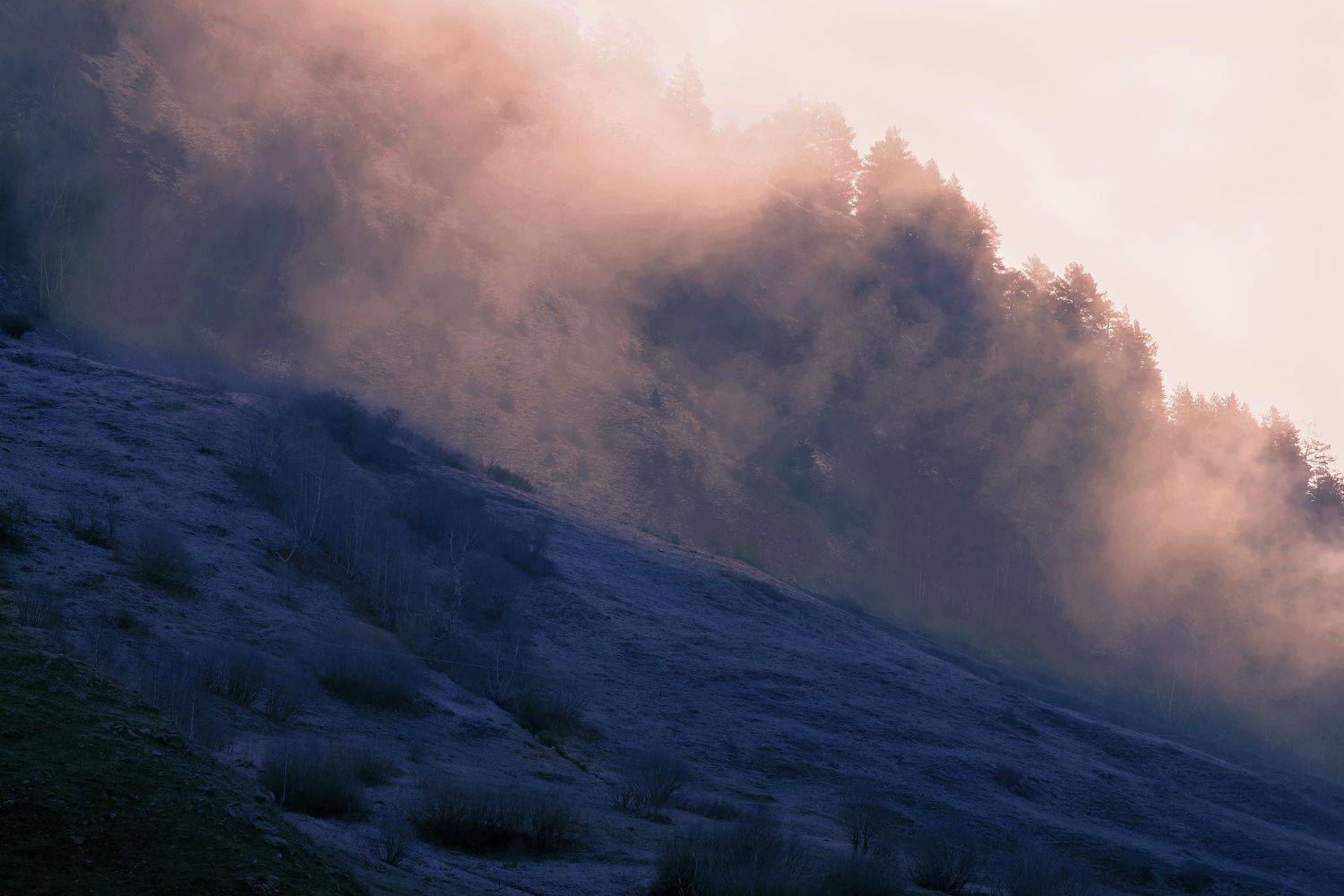 , Павел Мартюшев