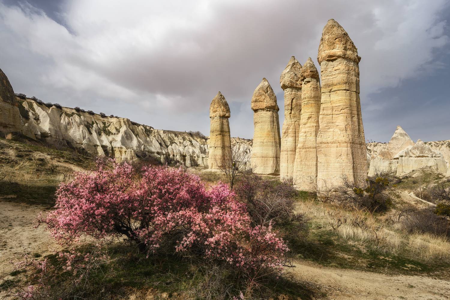 турция, каппадокия, холмы, горы, скалы, долина, долина любви, весна, turkey, cappadocia, hill, hills, mountain, rock, rocks, love valley, valley, spring, Эрнест Вахеди
