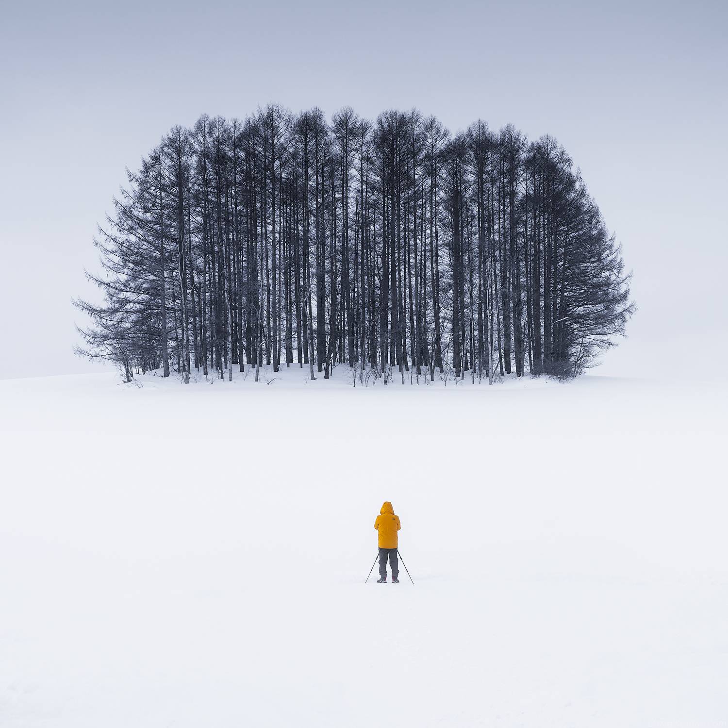 , Даниил Коржонов