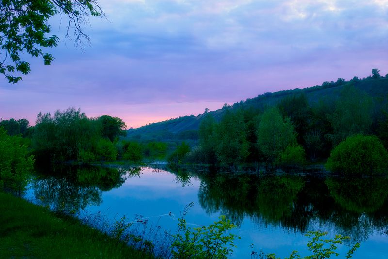 Only silence. фото превью