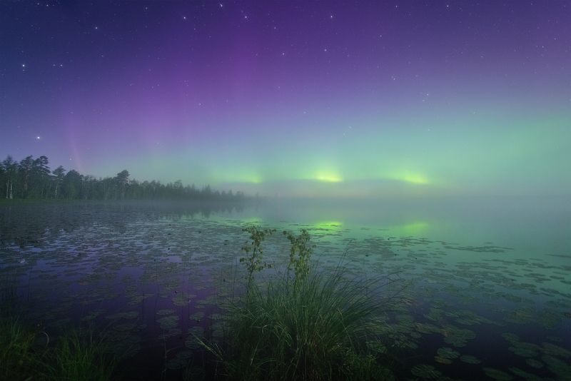 пейзаж, ночь, звезды, осень, северное сияние, полярное сияние, север, туман, landscape, northern lights, aurora borealis, polar lights, nightscape, stars, autumn, fog Штиль на озере - рябь на небе фото превью