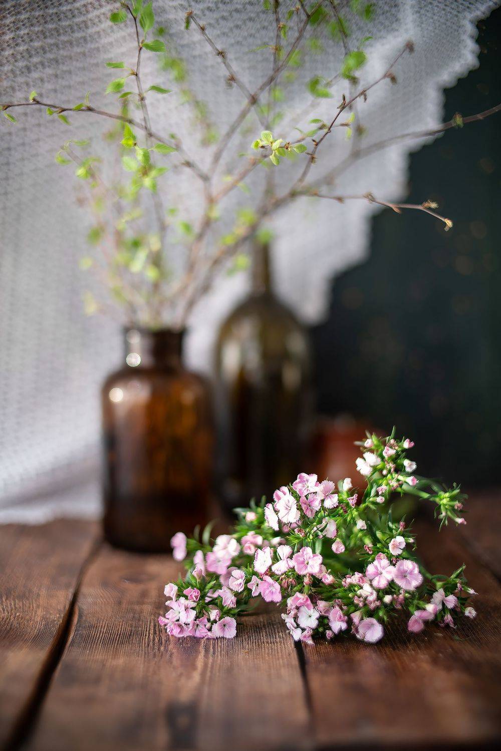 Натюрморт гвоздика береза коричневый , Тата Бакбак