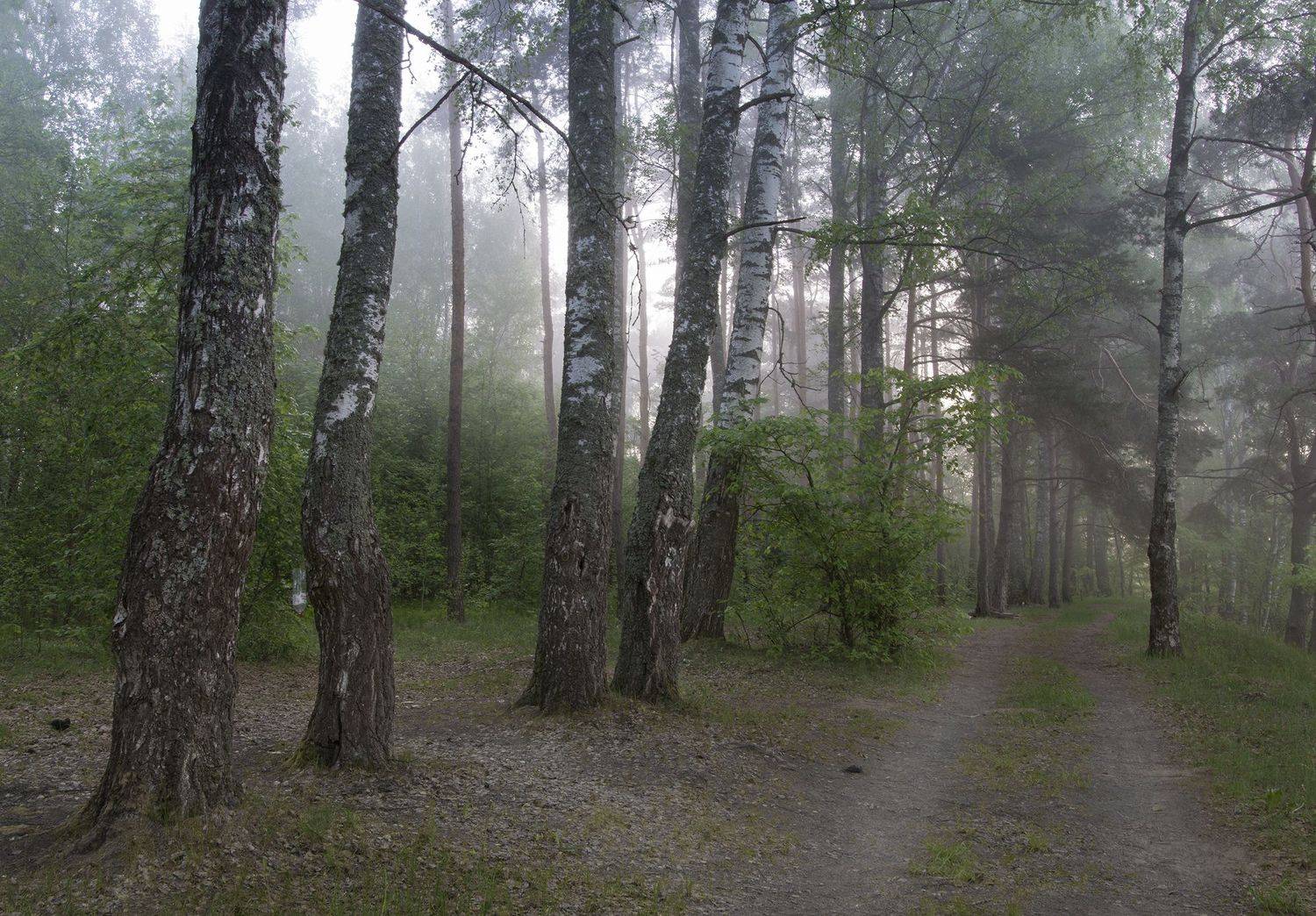 , Волоцков Александр