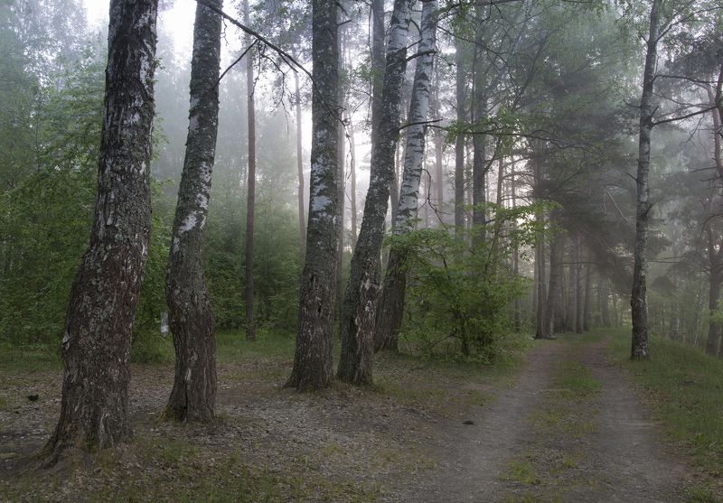 весеннее утро фото превью