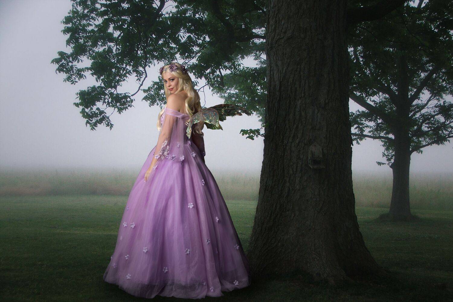 девушка, лес, фея, Sergii Vidov