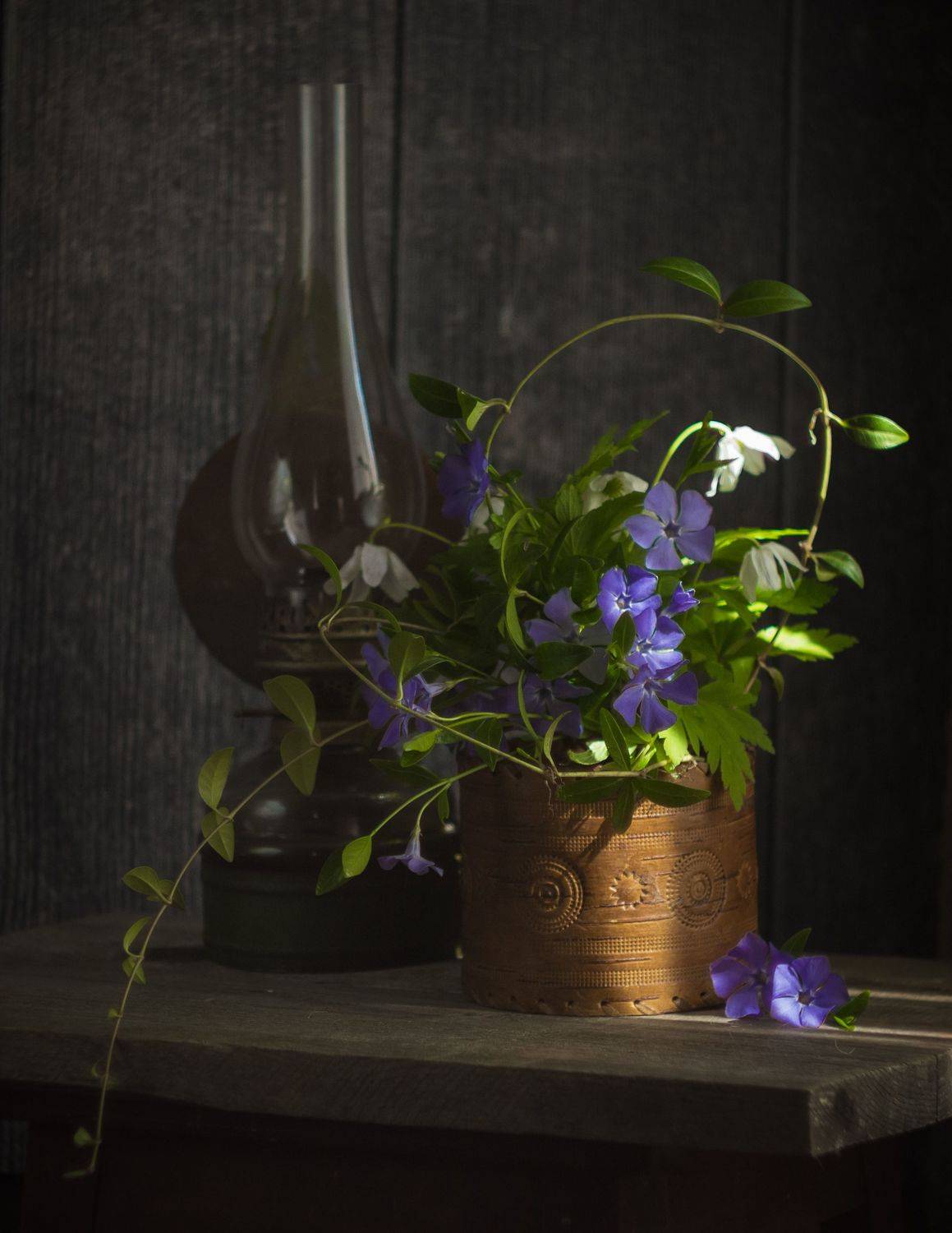 , Хвойнова Елена