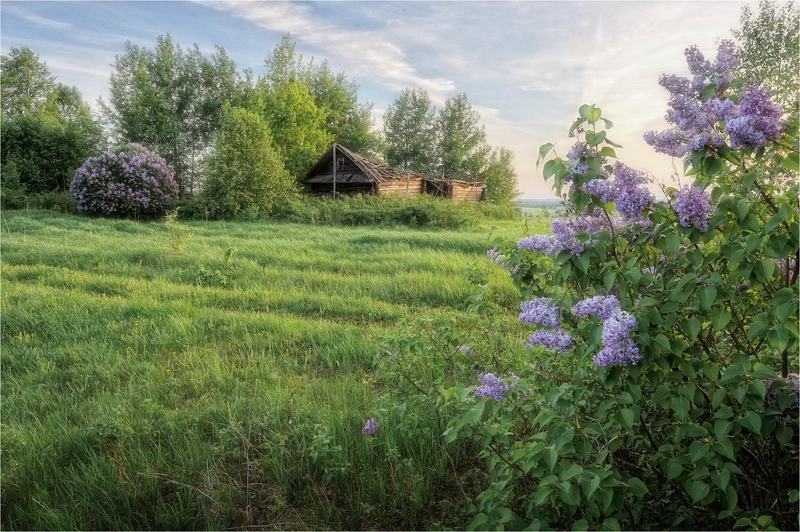 Пора цветения фото превью