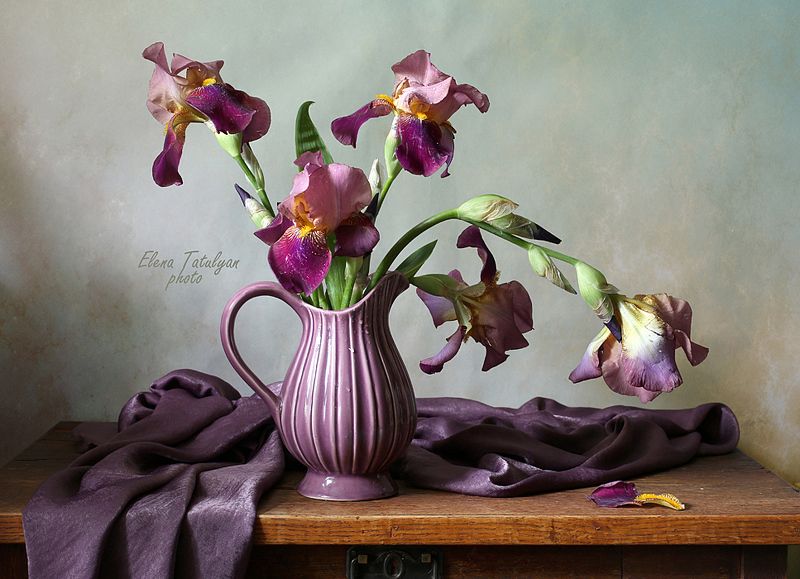 ирисы Лиловые ирисы фото превью