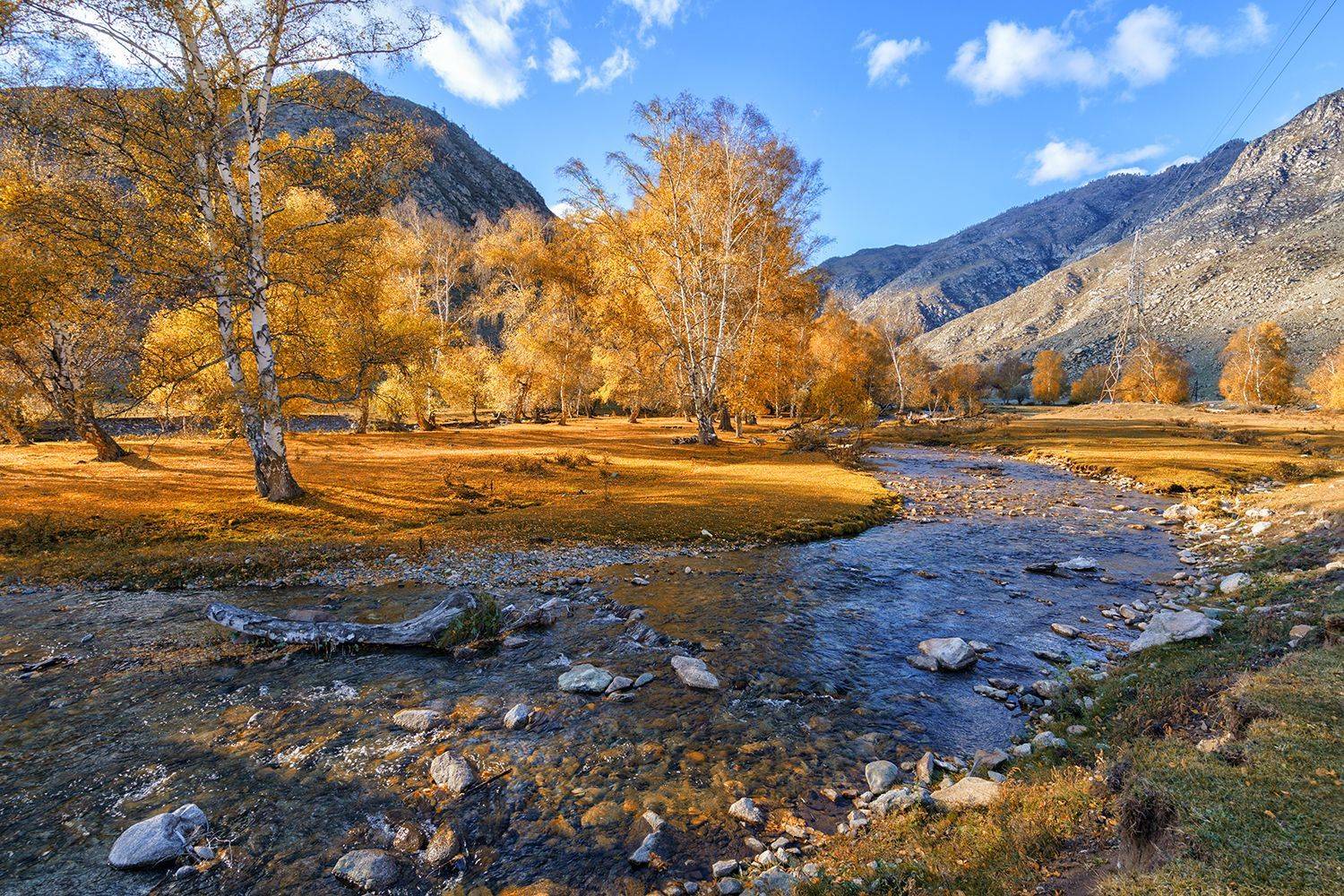 природа, пейзаж, Алтай,Россия,река,осень, горы, Лариса Дука