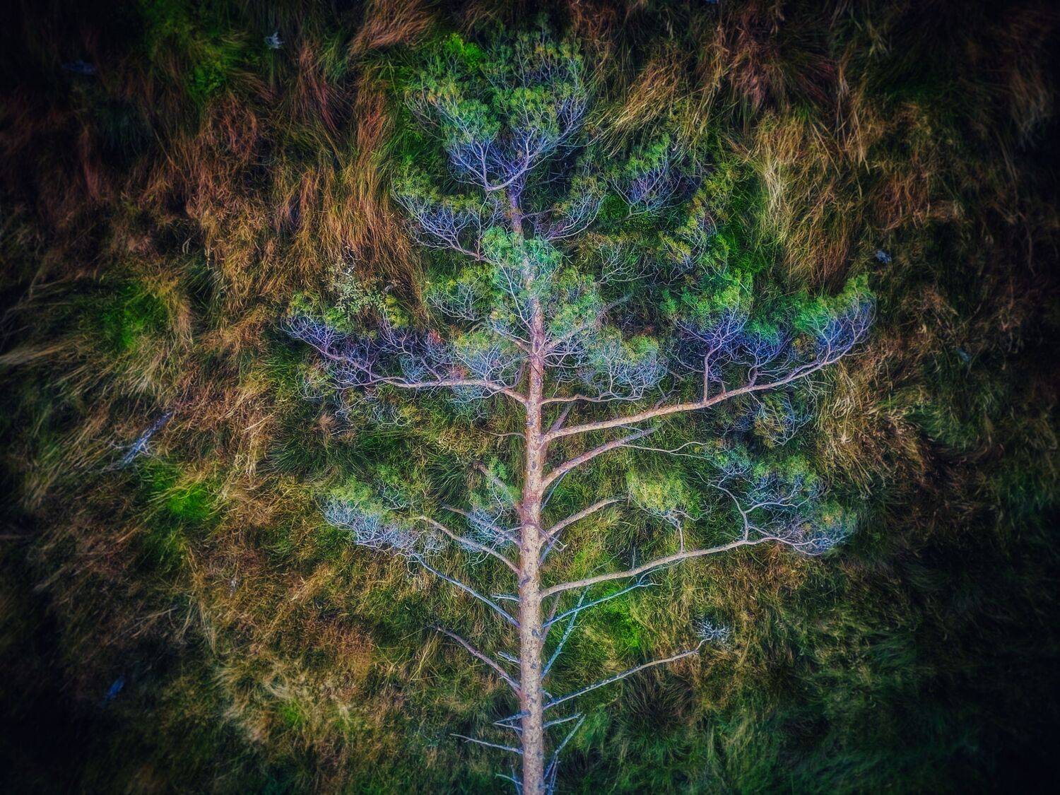 , Сергей Фаренюк