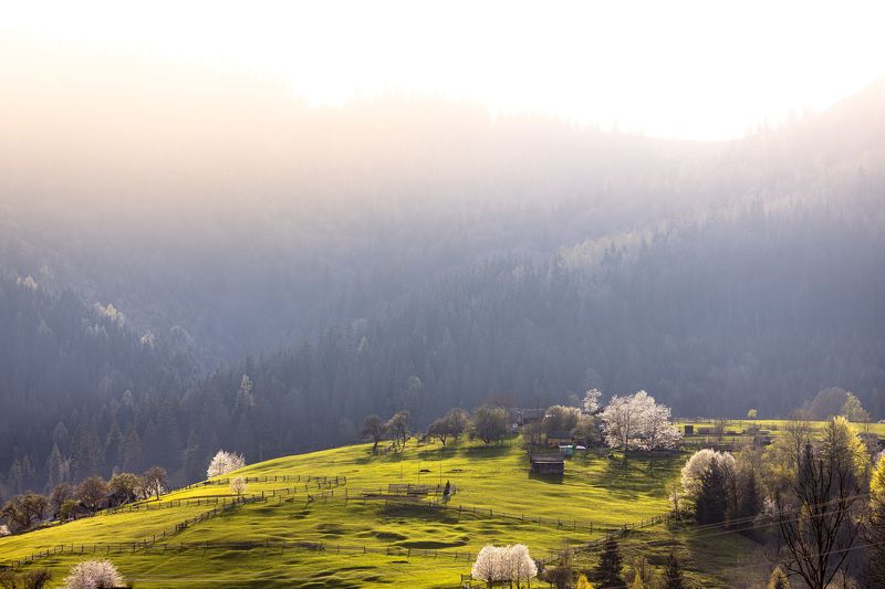 горы, пейзаж Dzembronya 2 фото превью