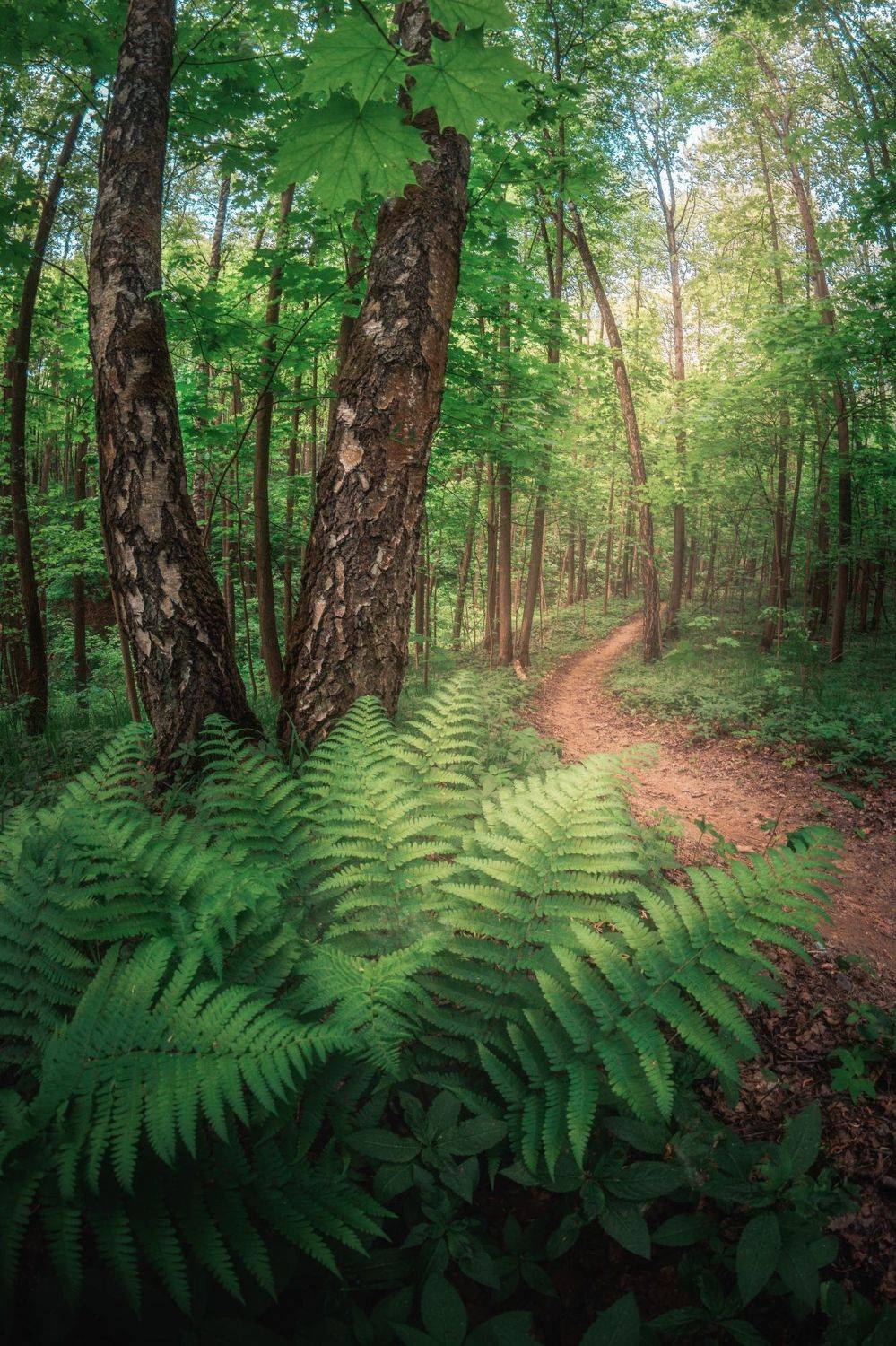 , Котов Андрей