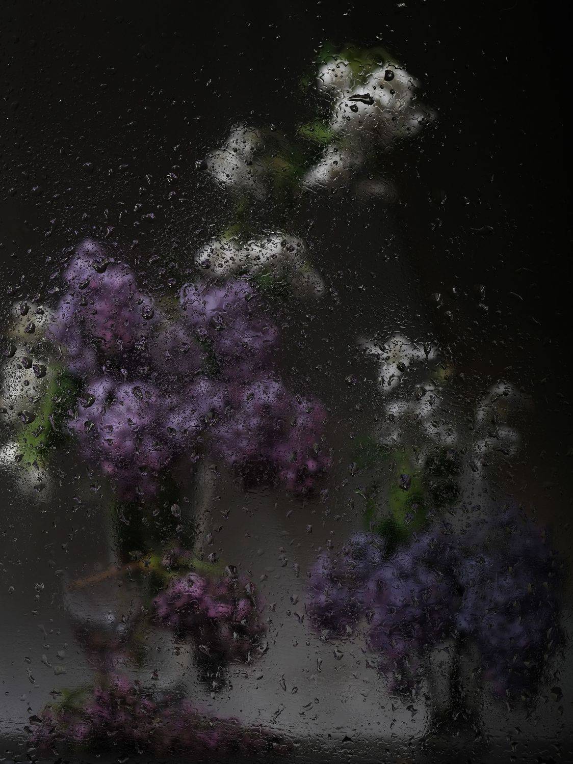 , Тим Мартынов