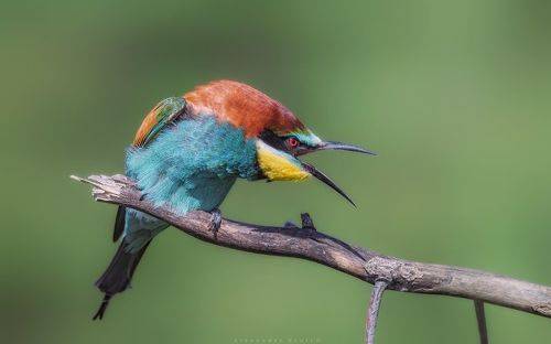 Где деньги, Зин?