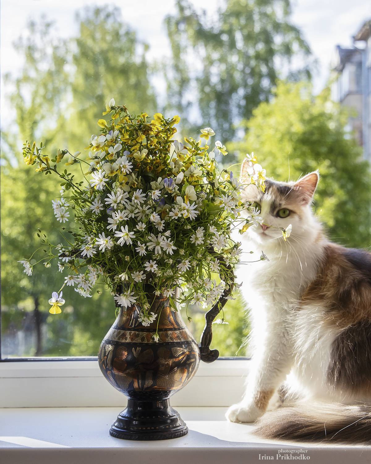 натюрморт, котонатюрморт, кошки, домашние питомцы, цветы, букеты, Приходько Ирина