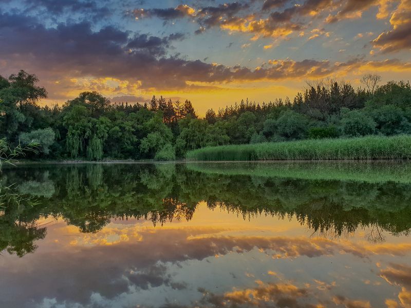 Вечір у лісі фото превью