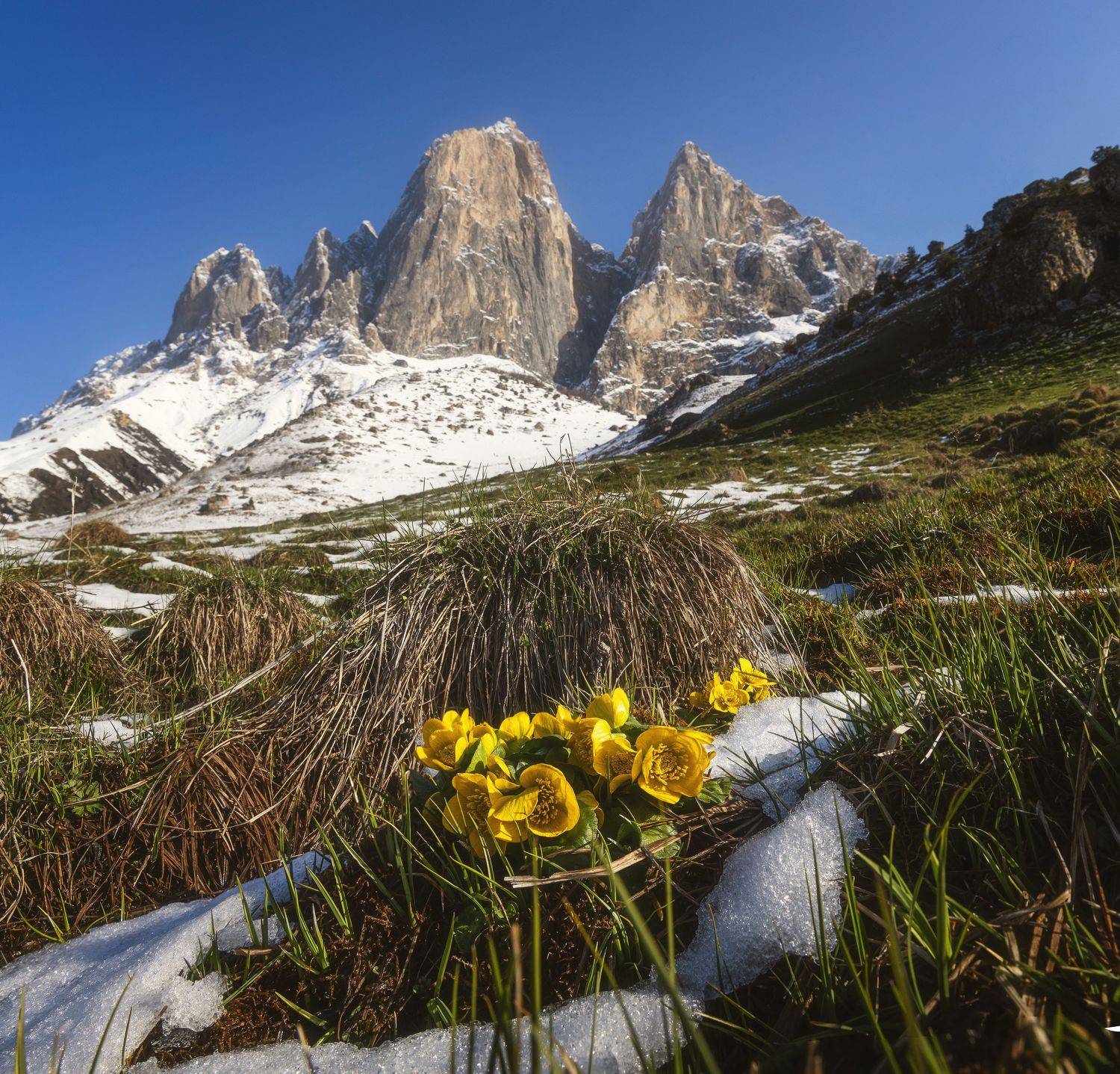 , Грамаков Юрий