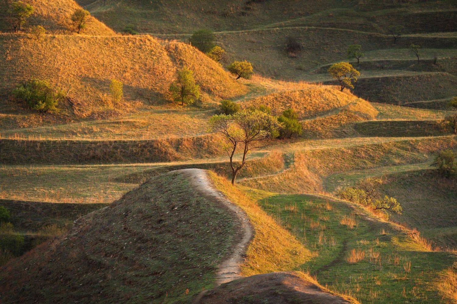 , Ковалев Дмитрий