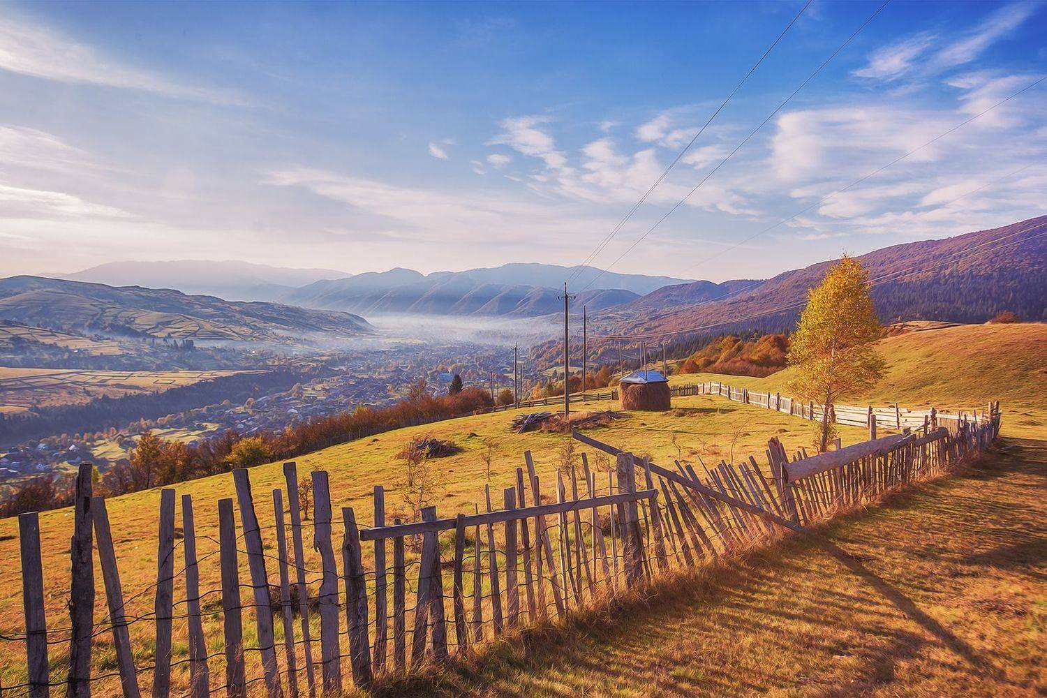 закарпатье, Владимир Липецких
