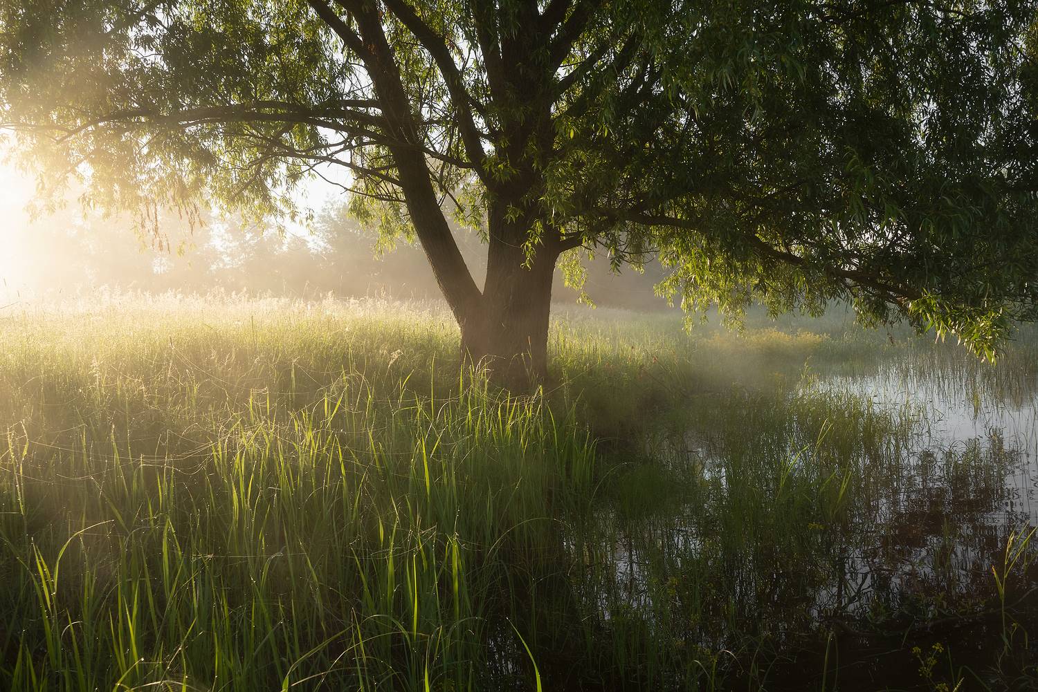 , Захаров Дмитрий