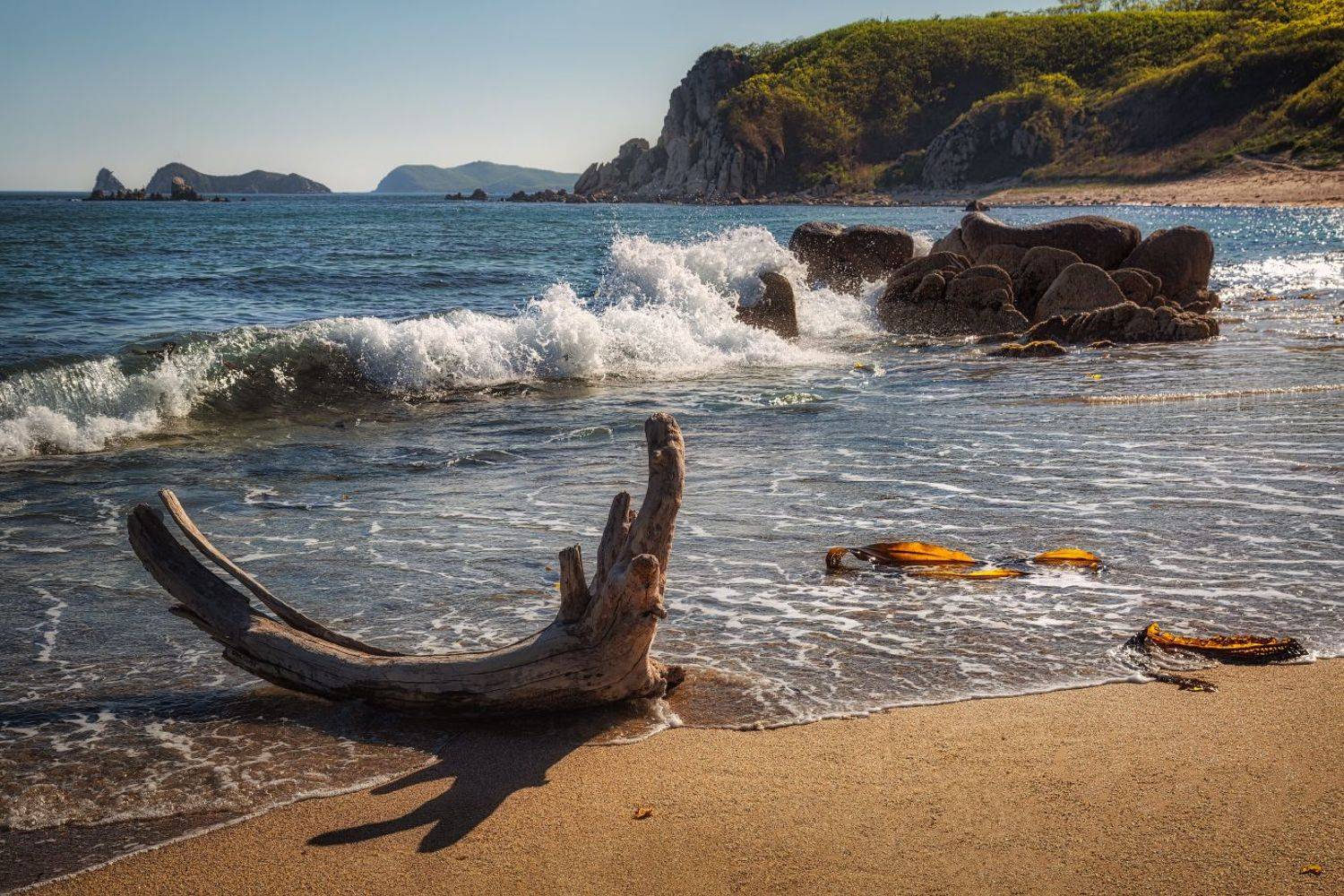 , Евгений Ерохин