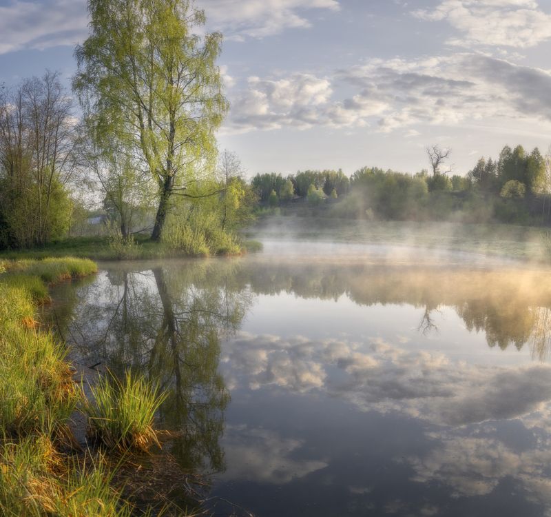 Свежесть майского утра фото превью