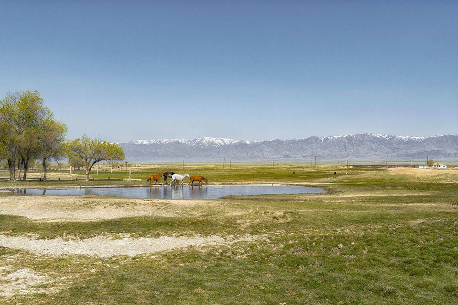 , Лазарев Сергей