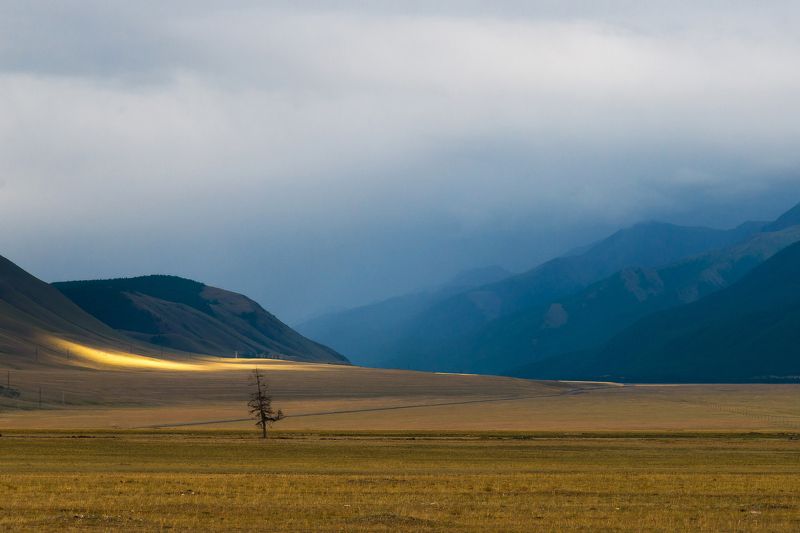 горы, горный алтай, чуйский тракт, пейзаж, алтай, дорога, россия Чуйский тракт фото превью