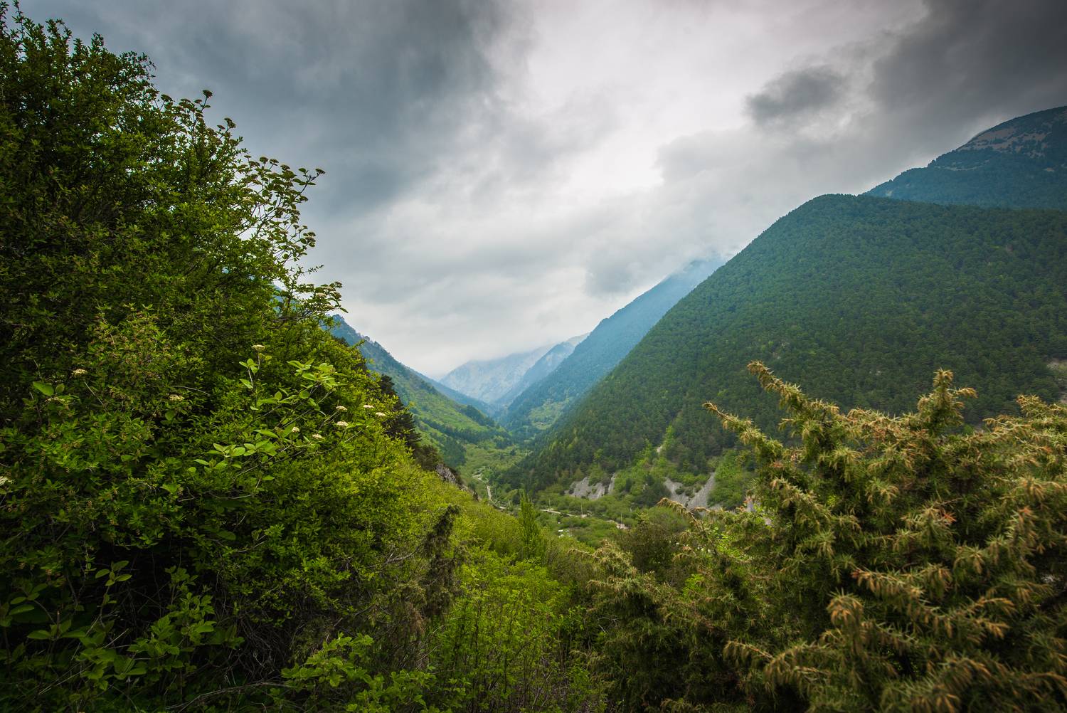 , Табуев Батраз