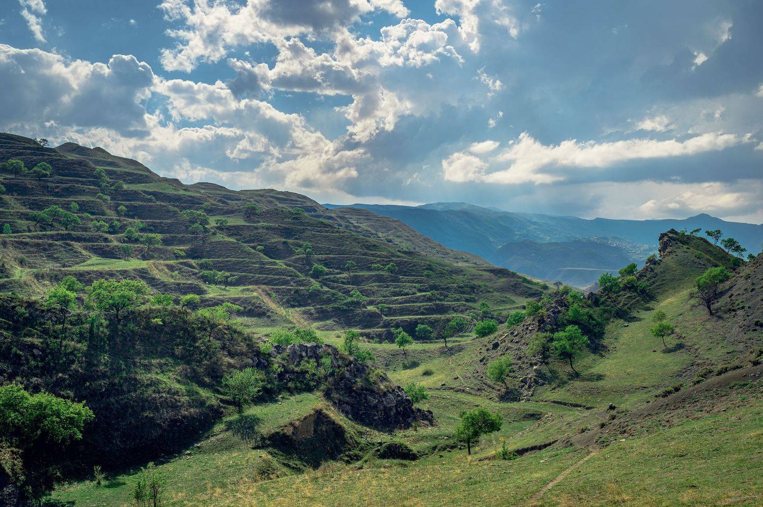 , Васильев Андрей