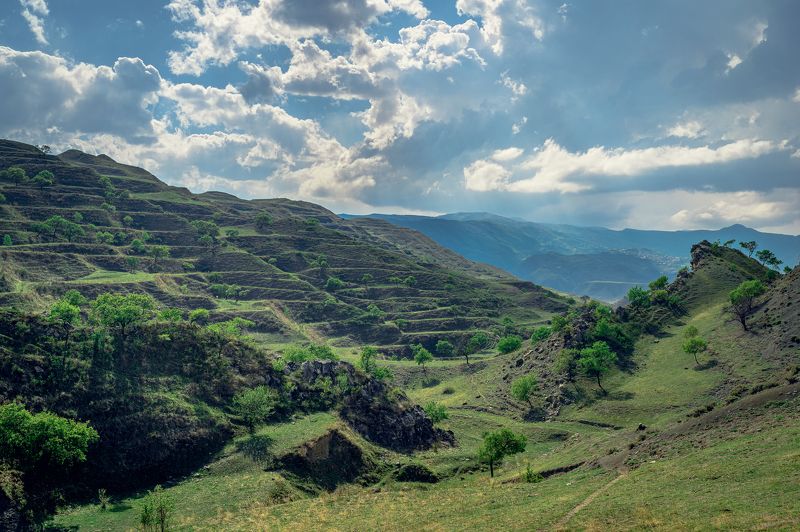 *** фото превью