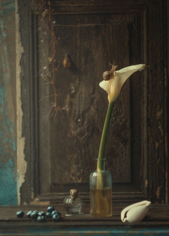 *** фото превью