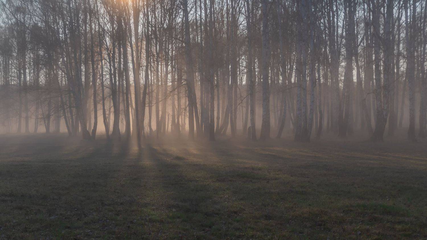 туманное утро, Таипов Ильгиз