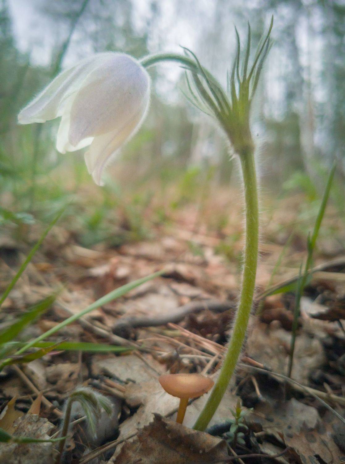 , Дмитрий Жучков