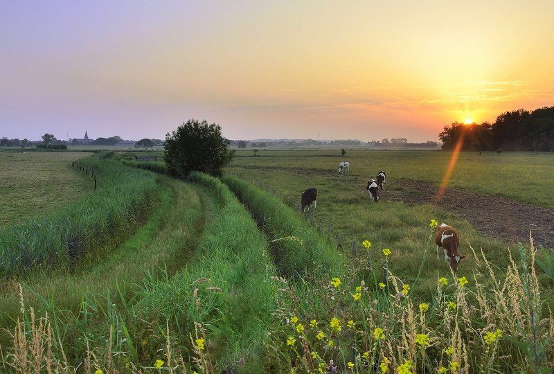 The beginning of a warm summer day. фото превью