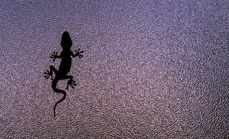 Окно ванной. фото превью