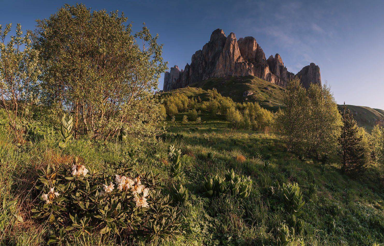 , Николай Мысливцев