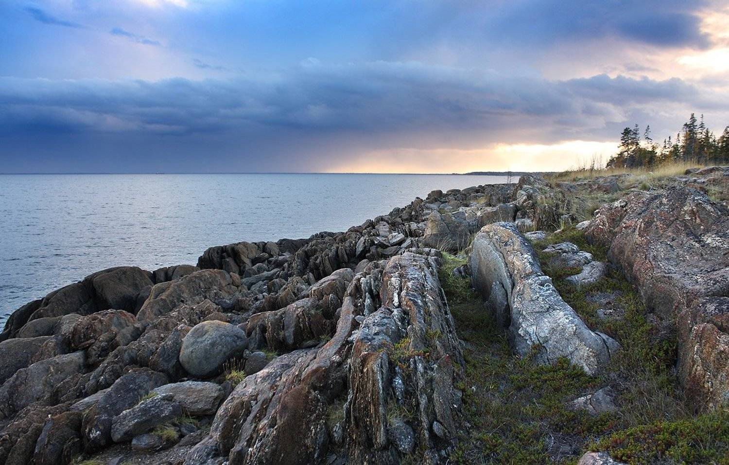 , Александр Коротков