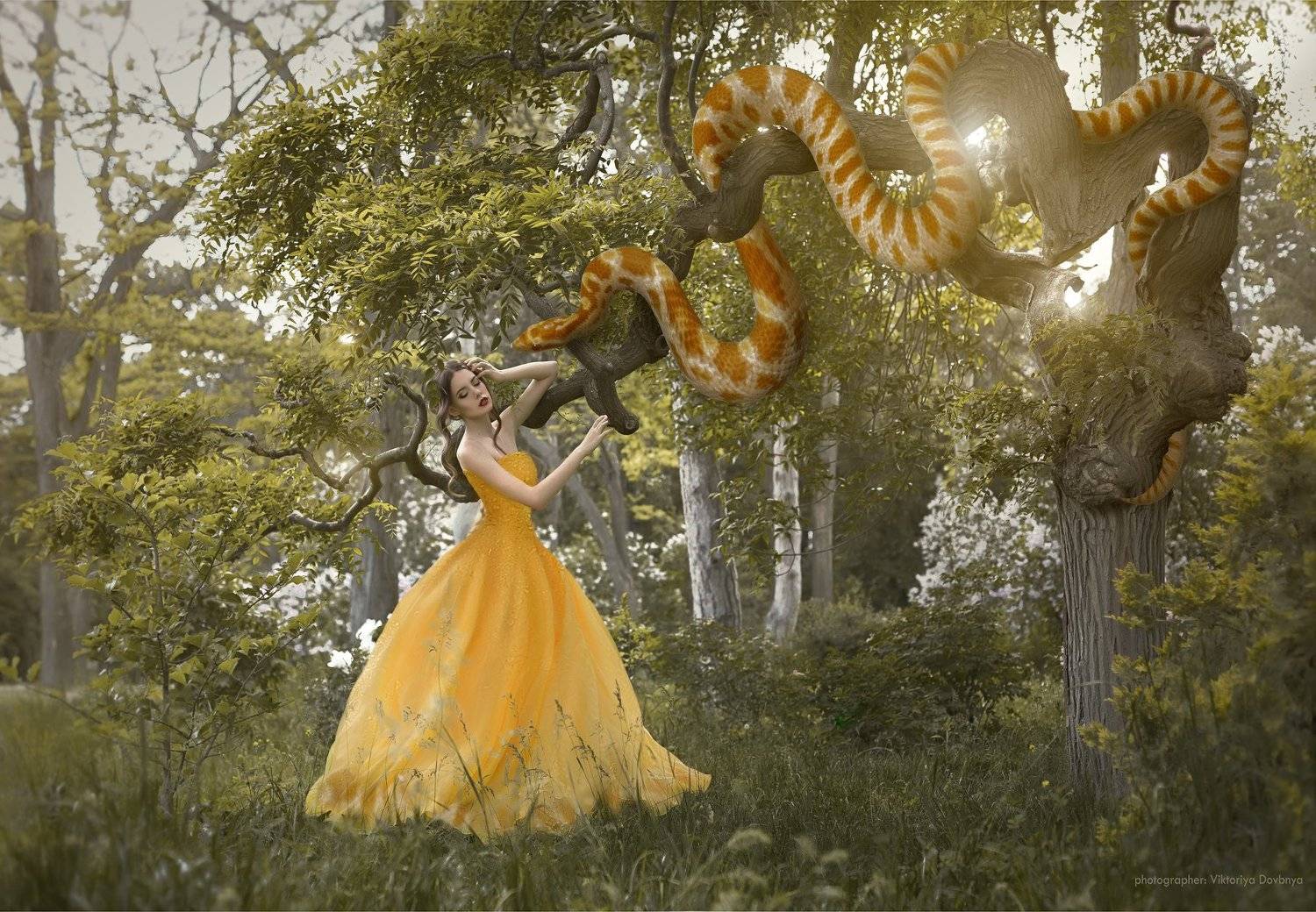 art, fairytale, girl, fashion, beautiful, light, white, sexy, female, , red, glamour, model, beauty, eyes, face, young, hair, pretty, cute, flower, sun, summer, fantasy, photo, photography, photoshop, dream, body, flowers, forest, magic, nature, retoucher, Виктория Довбня