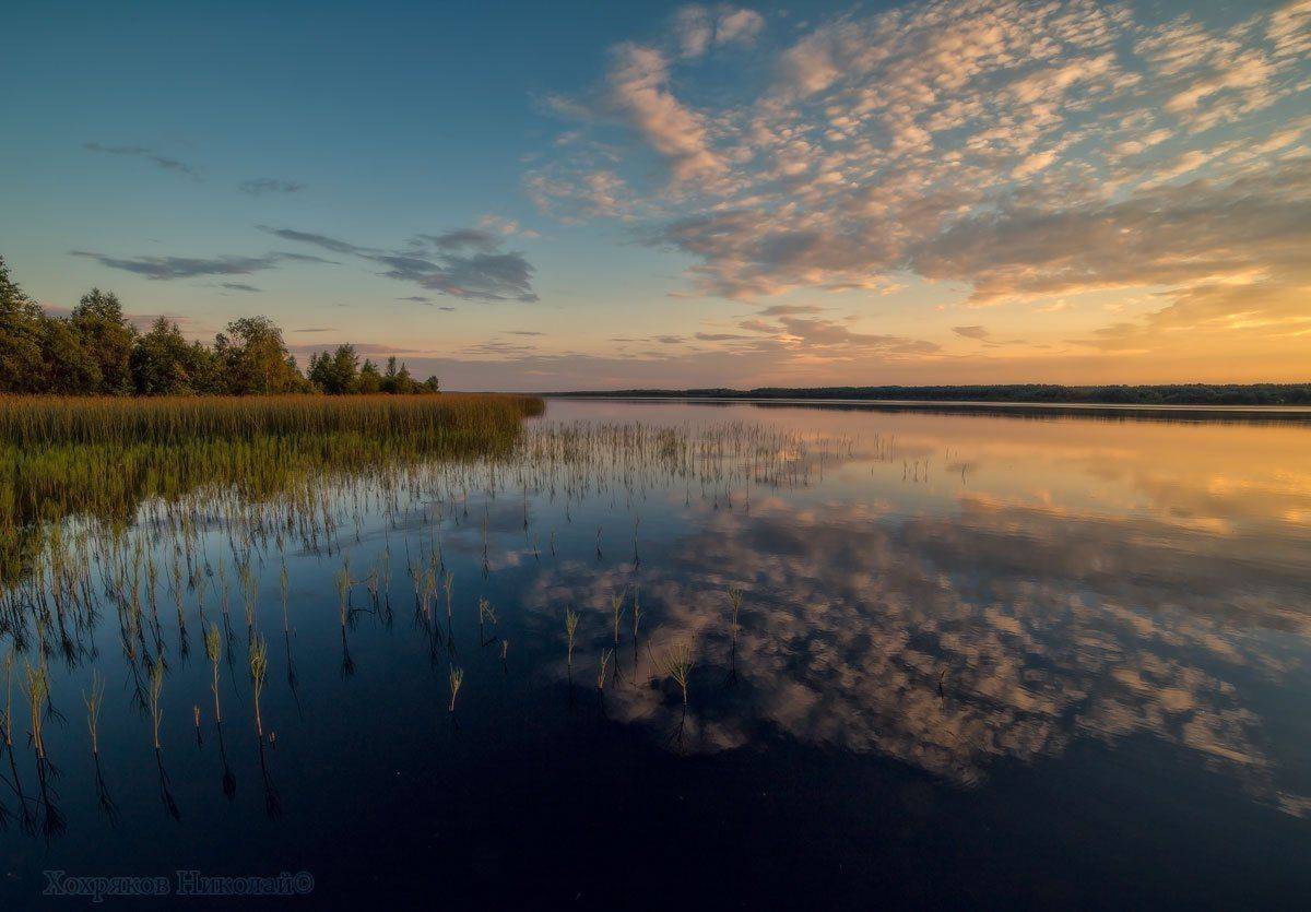 , Хохряков Николай