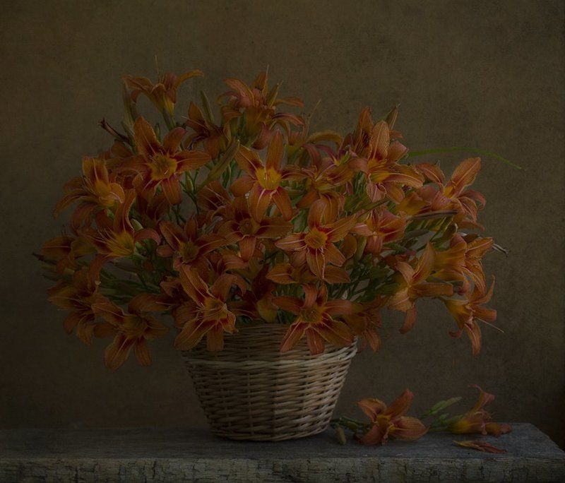 О, как красив и нежен тот лилейник... фото превью