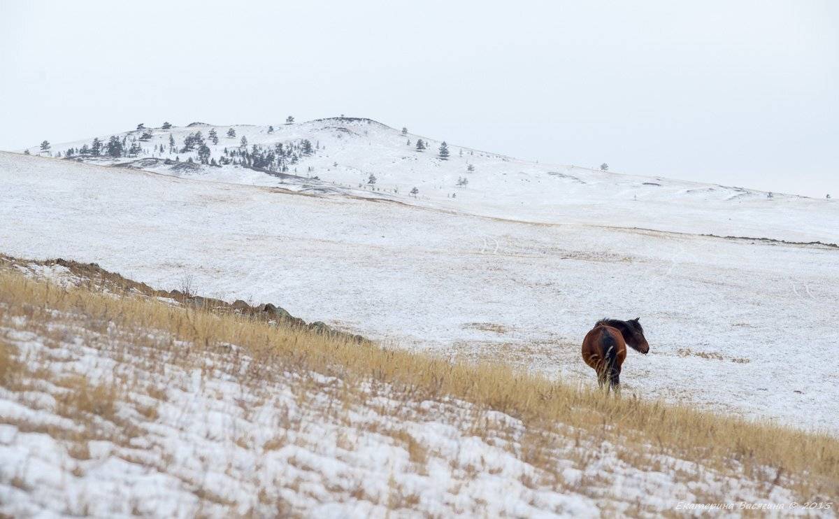 , Екатерина (PhotoJourneys.ru) Васягина